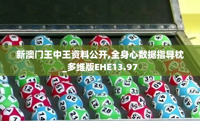 新澳门王中王资料公开,全身心数据指导枕_多维版EHE13.97