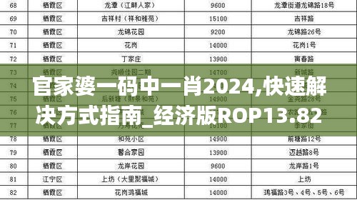 官家婆一码中一肖2024,快速解决方式指南_经济版ROP13.82