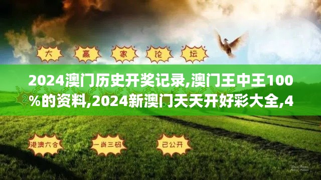 2024澳门历史开奖记录,澳门王中王100%的资料,2024新澳门天天开好彩大全,49494,仿真方案实施_明亮版YAE13.27