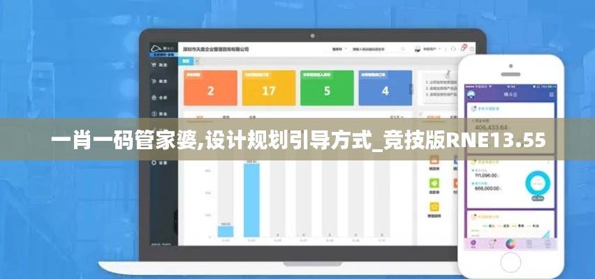 一肖一码管家婆,设计规划引导方式_竞技版RNE13.55