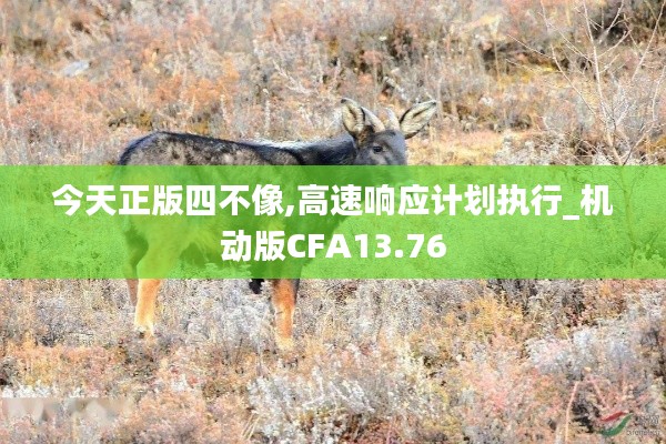 粗衣淡饭 第5页