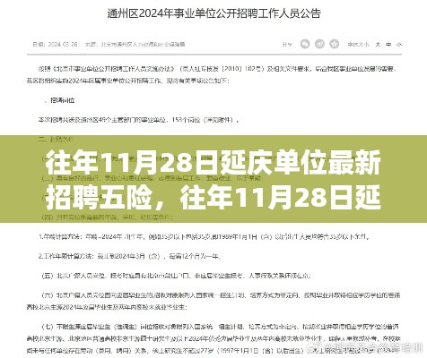 往年11月28日延庆单位最新招聘信息解读与求职指南，五险覆盖，职位信息深度解读助你成功求职！