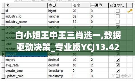 白小姐王中王三肖选一,数据驱动决策_专业版YCJ13.42