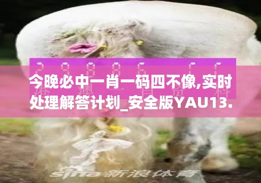 今晚必中一肖一码四不像,实时处理解答计划_安全版YAU13.23