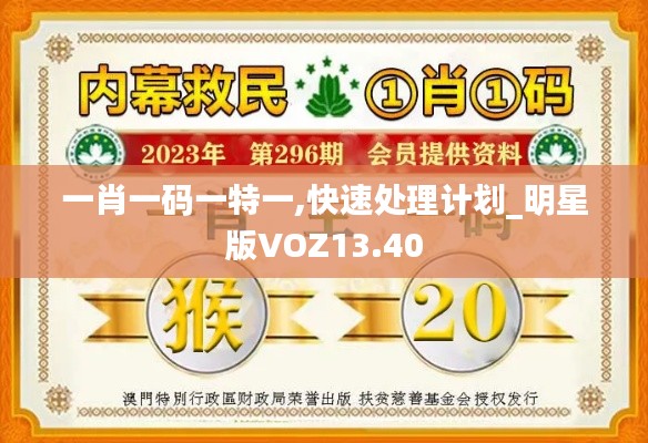 一肖一码一特一,快速处理计划_明星版VOZ13.40