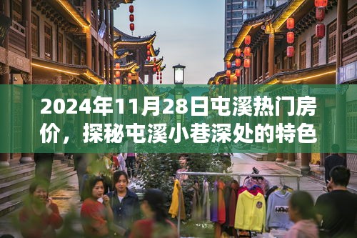 探秘屯溪小巷特色小店与揭秘热门房价奥秘，2024年11月28日屯溪房价指南