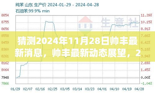 2024年11月28日帅丰最新动态展望与猜想