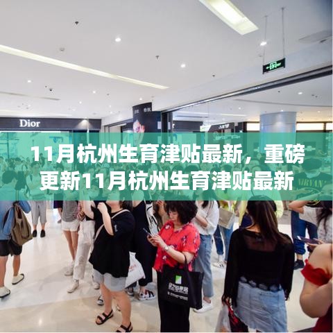 11月杭州生育津贴最新指南，全面解析新政，你必须了解的一切！