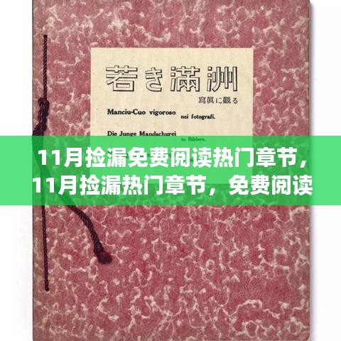 11月捡漏，免费阅读热门章节的新视角