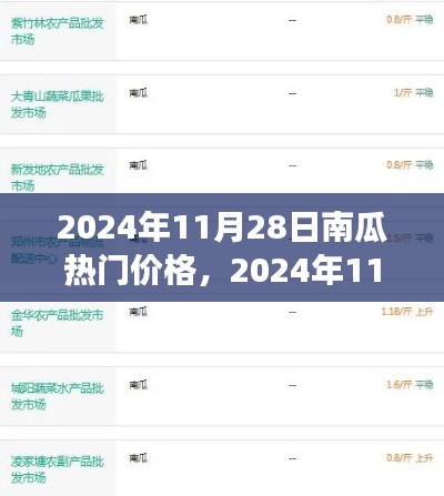 南瓜热门价格探析，市场走势与个人观点（2024年11月28日）