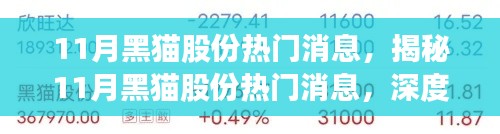 揭秘11月黑猫股份三大热门消息深度探讨内幕速递