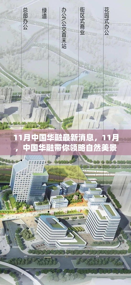 中国华融带你领略自然美景，启程心灵之旅，最新消息与宁静之旅的十一月篇章