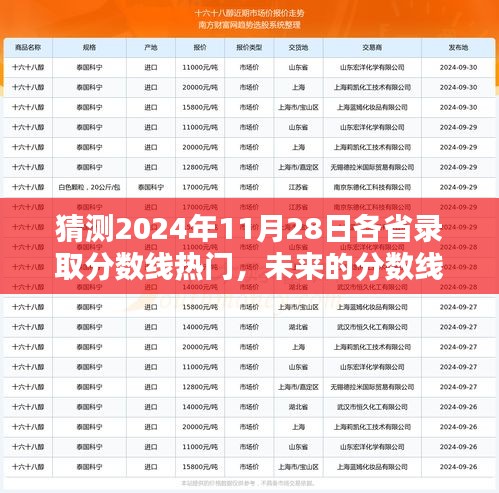 揭秘未来录取线，2024年11月28日各省录取分数线的猜想与预测