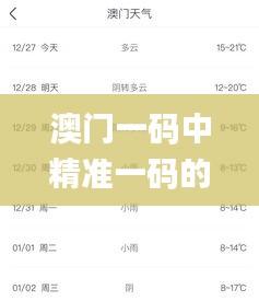 澳门一码中精准一码的投注技巧,实证分析详细枕_寓言版GLU26.800