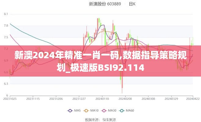 新澳2024年精准一肖一码,数据指导策略规划_极速版BSI92.114