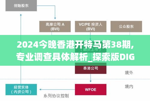 2024今晚香港开特马第38期,专业调查具体解析_探索版DIG81.267