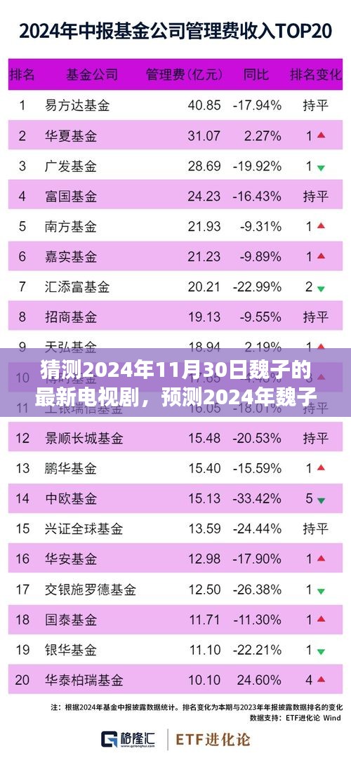 魏子2024最新电视剧猜想，多元视角探索未来之作