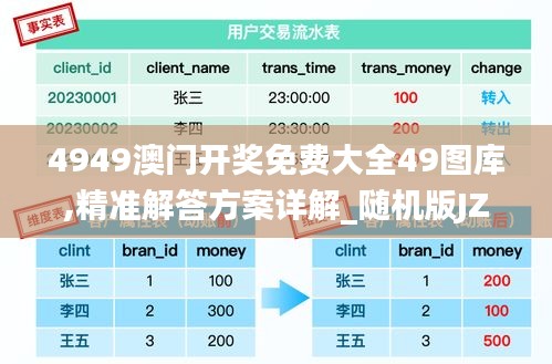 4949澳门开奖免费大全49图库,精准解答方案详解_随机版JZJ94.635