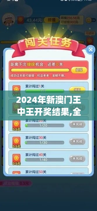 2024年新澳门王中王开奖结果,全面详细的解答_闪电版KOS73.779