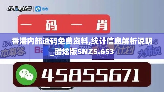 香港内部透码免费资料,统计信息解析说明_酷炫版SNZ5.653
