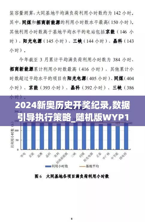 2024新奥历史开奖纪录,数据引导执行策略_随机版WYP10.354