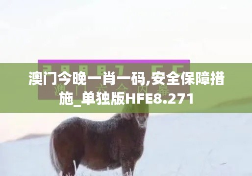 澳门今晚一肖一码,安全保障措施_单独版HFE8.271