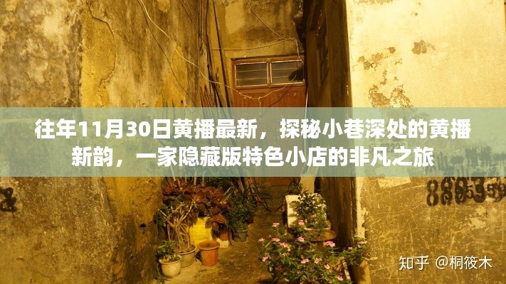 流光飞舞 第5页