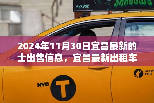 案例见证 第417页