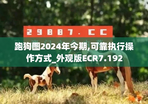 跑狗图2024年今期,可靠执行操作方式_外观版ECR7.192