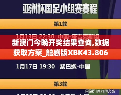 新澳门今晚开奖结果查询,数据获取方案_触感版XBK43.806