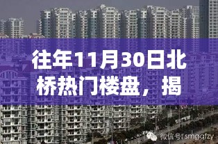 揭秘北桥隐藏楼盘与神秘小店的独特魅力，往年11月30日的秘密探访