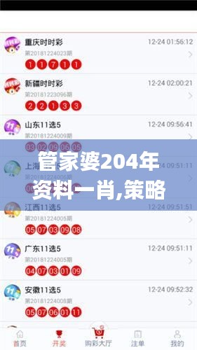 管家婆204年资料一肖,策略规划_nShopKXI55.491