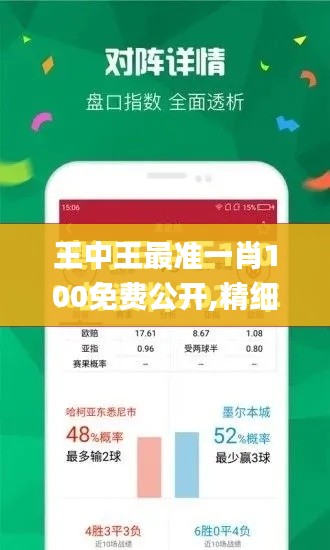 王中王最准一肖100免费公开,精细评估方案_专业版VDR99.305