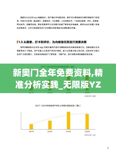 新奥门全年免费资料,精准分析实践_无限版YZW86.424