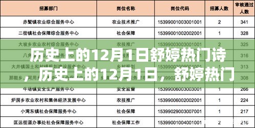 深度测评与介绍