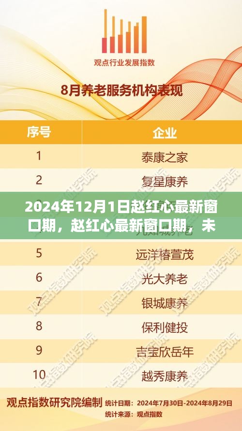 赵红心最新窗口期，未来医疗技术的展望与突破及突破点分析
