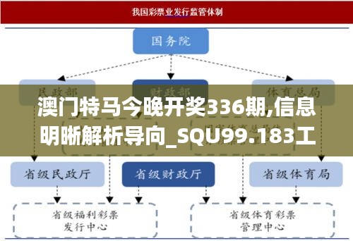 澳门特马今晚开奖336期,信息明晰解析导向_SQU99.183工具版