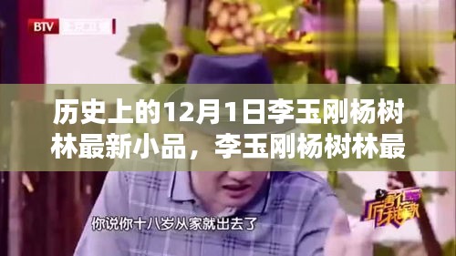 李玉刚杨树林最新小品，历史与现代的启示之光——闪耀时刻与启示录