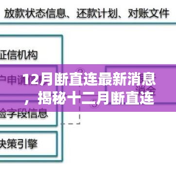 揭秘十二月断直连事件，最新动态、背景剖析与领域影响分析