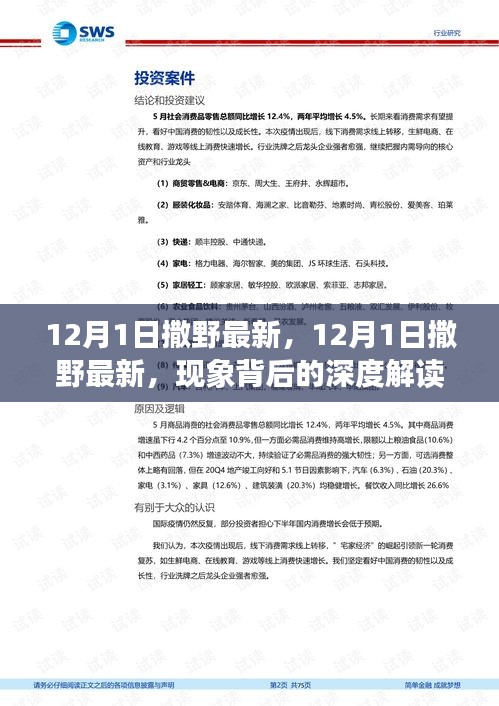 12月1日撒野现象深度解读与个人观点