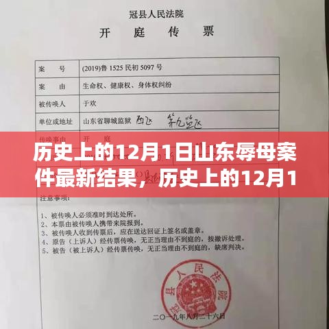 山东辱母案件最新结果及分析，历史回顾与最新进展揭秘
