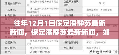 往年12月1日保定潘静苏最新新闻报道及获取分析步骤指南