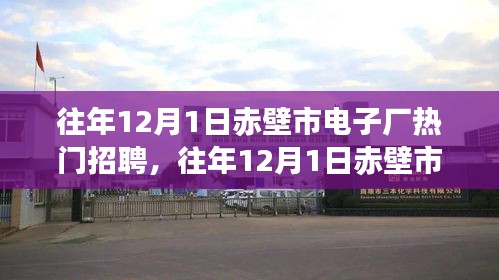 赤壁市电子厂历年招聘全景解析，聚焦十二月一日热门招聘盛况