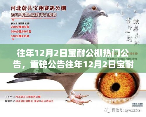 蛾眉曼睩 第5页