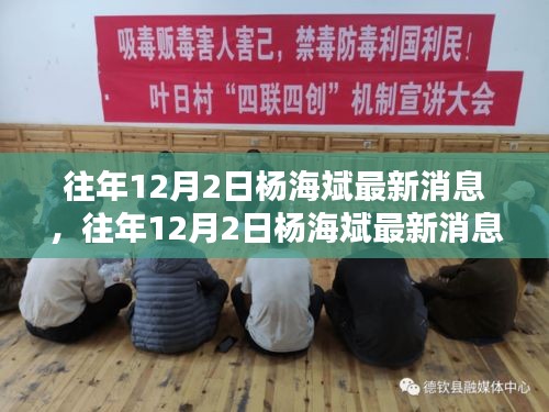 往年12月2日杨海斌最新消息，往年12月2日杨海斌最新消息全面评测与介绍