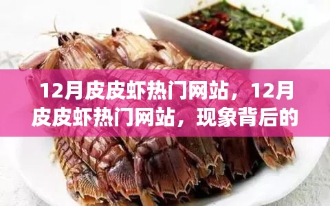 揭秘十二月皮皮虾热门网站现象背后的多元解读