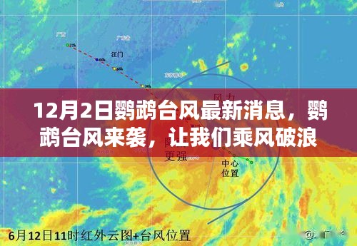 鹦鹉台风来袭，探索自然秘境的挑战与应对