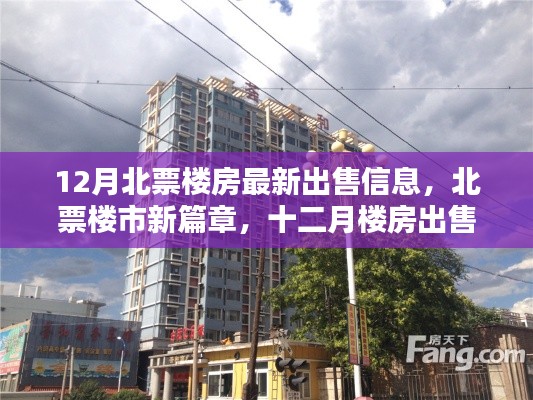 北票楼市最新动态，十二月楼房出售信息全景解析与楼市新篇章