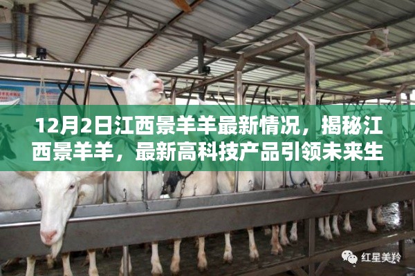 揭秘江西景羊羊最新高科技产品，引领未来生活发展趋势（独家报道）