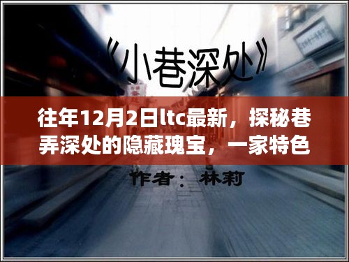 探秘巷弄深处的隐藏瑰宝，LTC新风尚之旅的特色小店回顾